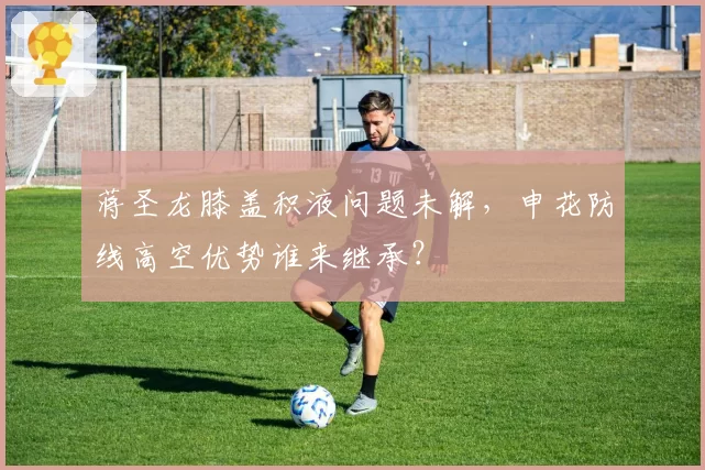 蒋圣龙膝盖积液问题未解，申花防线高空优势谁来继承？